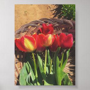 Vintage Fotografie - Tulip Farm Basket Poster