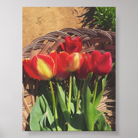 Vintage Fotografie - Tulip Farm Basket Poster (Vorne)