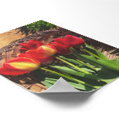 Vintage Fotografie - Tulip Farm Basket Poster (Ecke)