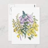 Vintage Foxglove Illustration Postkarte (Vorne/Hinten)