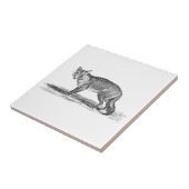 Vintage Foxy Fox-Illustration - Füchse 1800's Fliese (Seite)