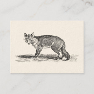 Vintage Foxy Fox-Illustration - Füchse 1800's Visitenkarte