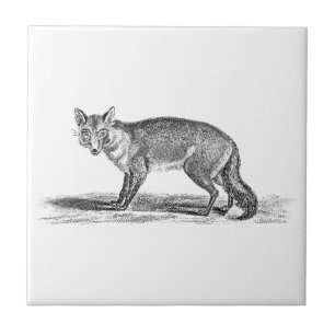 Vintage Foxy Fuchs Illustration - Fuchsbilder aus Fliese