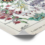 Vintage französische Adolphe Millot-Blume Poster (Ecke)