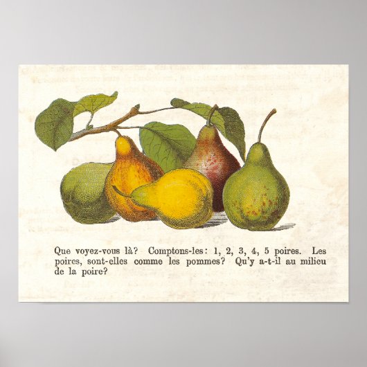 Vintage französische Birnen Landküche Dekoration (Vorne)