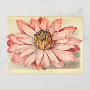 Vintage französische Blumen Ephemera Decoupage ros Postkarte