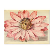 Vintage französische Blumen Ephemera Decoupage ros