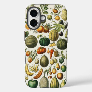 Vintage Französische Botanische Obstplakate Kunst iPhone 16 Hülle