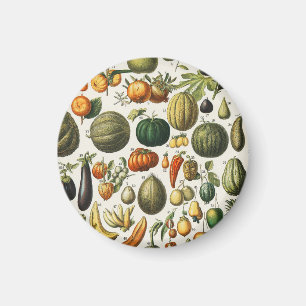 Vintage Französische Botanische Obstplakate Kunst Magnet