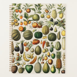 Vintage Französische Botanische Obstplakate Kunst Planer