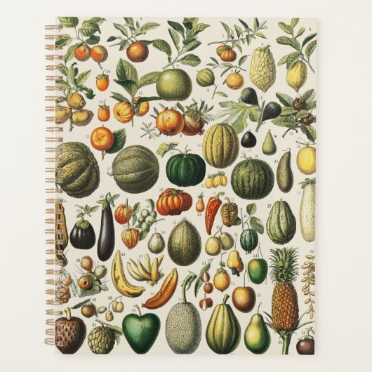 Vintage Französische Botanische Obstplakate Kunst Planer (Vorderseite)