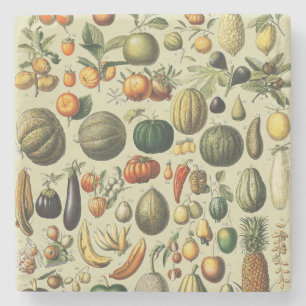 Vintage Französische Botanische Obstplakate Kunst Steinuntersetzer