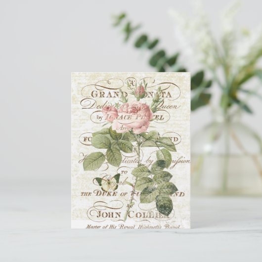 Vintage französische botanische Rosenpostkarte Postkarte (Stehend Vorderseite)