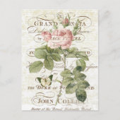 Vintage französische botanische Rosenpostkarte Postkarte (Vorderseite)