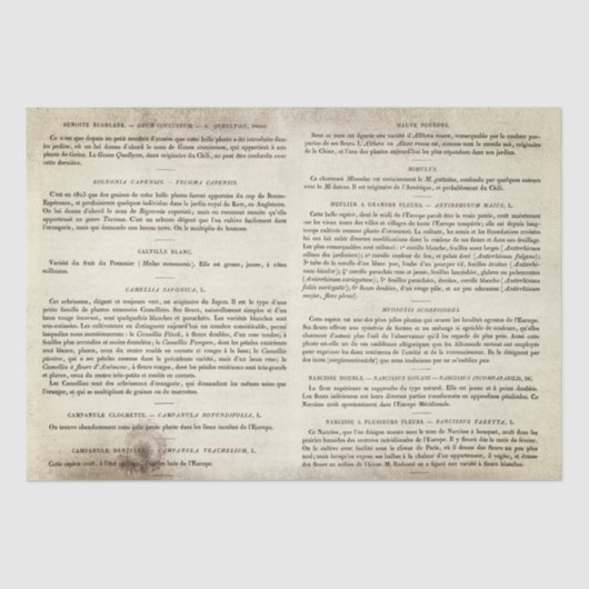 Vintage französische Buchseiten Seidenpapier (Vorderseite)