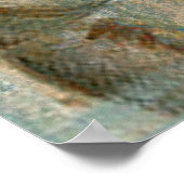 Vintage französische Conch-Muschel Poster (Ecke)