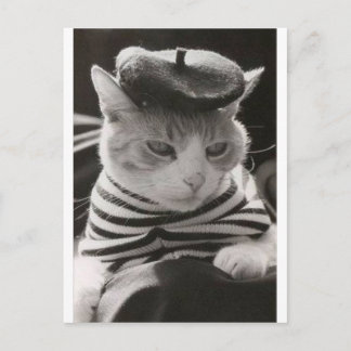 Vintage französische Katze Postkarte