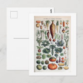 Vintage französische Leguminosen und Plantes Potag Postkarte (Vorne/Hinten)