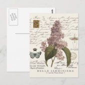 Vintage französische Lilacs Postkarte (Vorne/Hinten)