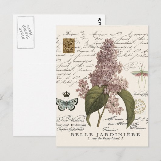 Vintage französische Lilacs Postkarte (Vorne/Hinten)