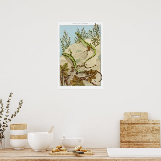 Vintage französische Lizard Illustration Poster (Küche)