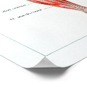 Vintage französische Menschenanatomie Poster (Ecke)