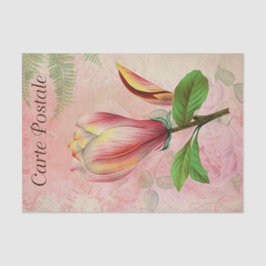 Vintage französische Postkarte Magnolia Blossom En Seidenpapier (Vorderseite)