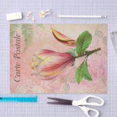 Vintage französische Postkarte Magnolia Blossom En Seidenpapier (Handwerk)