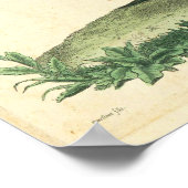 Vintage französische Rooster-Printwerbung Poster (Ecke)