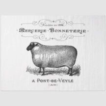 Vintage französische Schafe