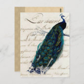 Vintage französische Script Peacock Postkarte (Vorne/Hinten)