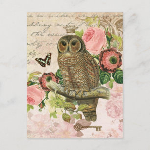 Vintage französische shabby chic Eulen Postkarte