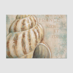 Vintage französische Tritonshorn-Muschel Seidenpapier