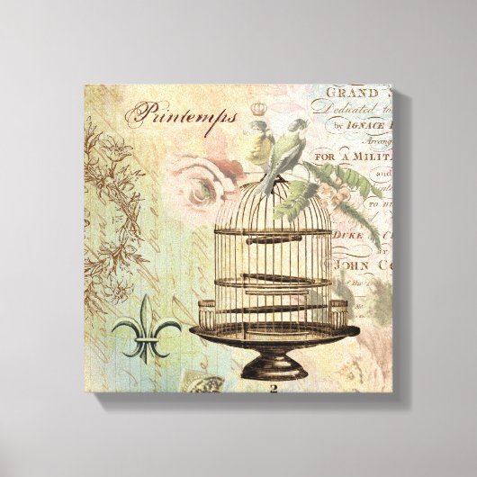 Vintage französische Vogelkäfige gedehnte Leinwand (Vorderseite)