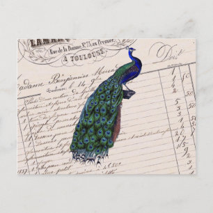 Vintage französischer Chic blauer Pfau Postkarte