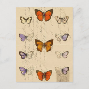 Vintage Französischer Chic Schmetterlinge Muster Postkarte