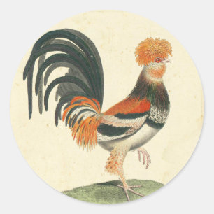 Vintage-Französischer-Hahn-Druck Runder Aufkleber