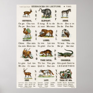 Vintage-Französisches Alphabet und Zahlen Poster