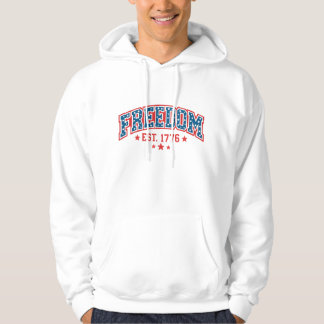 Vintage Freiheit 1776 Patriotischer Bogen Amerikan Hoodie