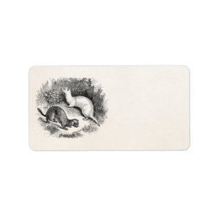 Vintage Frettchen 1800s Frettchenweasels-Nerze Adressaufkleber