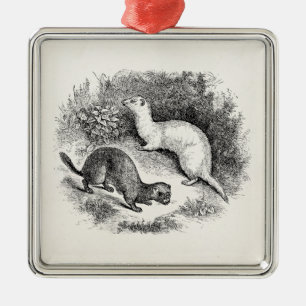 Vintage Frettchen 1800s Frettchenweasels-Nerze Ornament Aus Metall