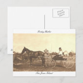 Vintage Friday Harbor Postkarte (Vorne/Hinten)
