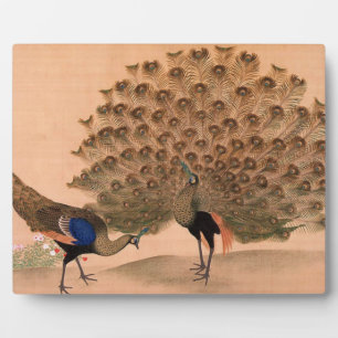 Vintage Friedensbemühungen in Asien Fotoplatte