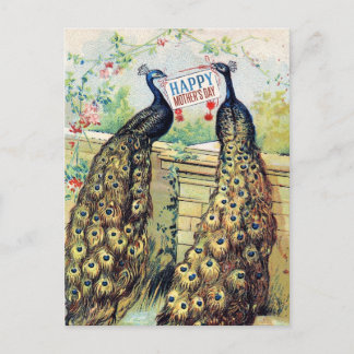 Vintage Friedensgespräche - Muttertag Postkarte