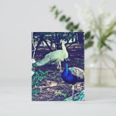 Vintage Friedenssicherungen Postkarte (Stehend Vorderseite)