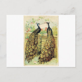 Vintage Friedenssicherungen Postkarte