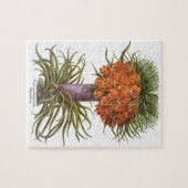 Vintage Fritillaria-Blume von Basilius Besler Puzzle (Horizontal)