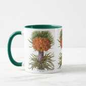 Vintage Fritillaria-Blume von Basilius Besler Tasse (Links)