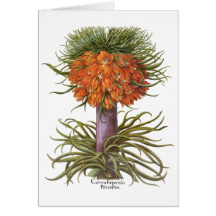 Vintage Fritillaria-Blumen von Basilius Besler