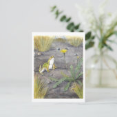 Vintage Frog and Dandelion Postkarte (Stehend Vorderseite)